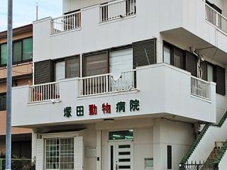 塚田動物病院